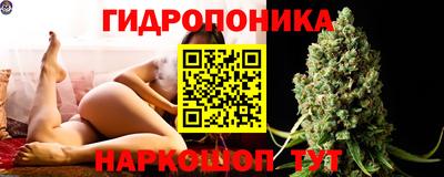 бошки Боровичи