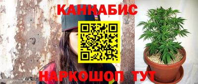 прущие крисы Брянск