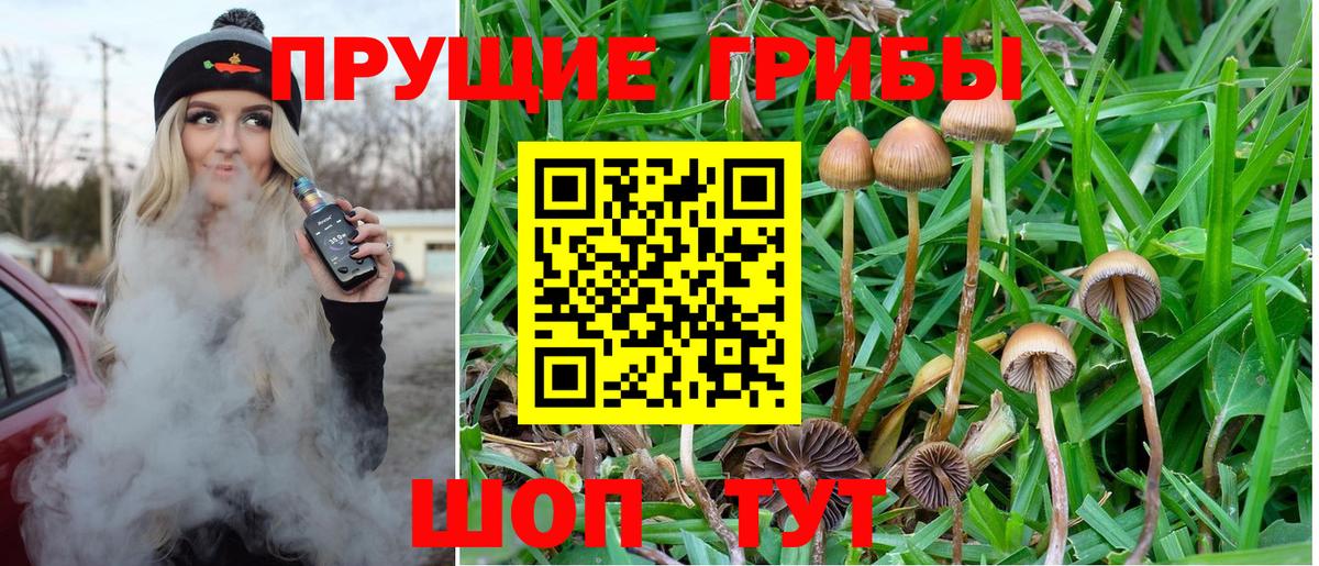 Галлюциногенные грибы прущие грибы Каменск-Шахтинский
