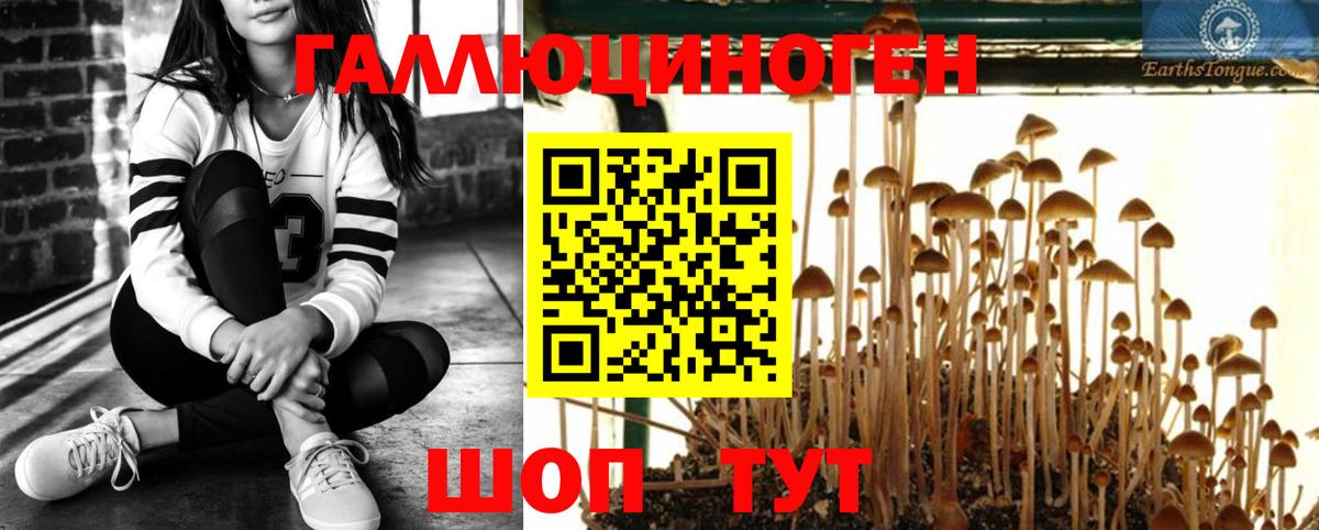 Галлюциногенные грибы прущие грибы  Вход с VPN  Каменск-Шахтинский 